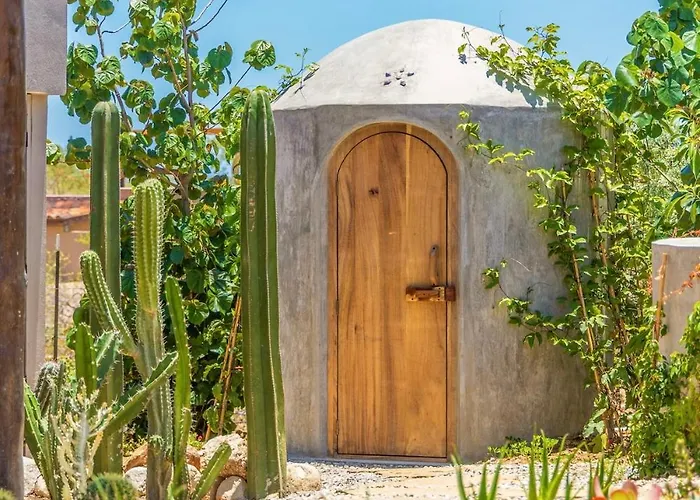 Villa Baja Luxury With Pool, Sauna, Private Oasis La Laguna (Los Cabos)